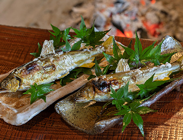 子持鮎の囲炉裏焼